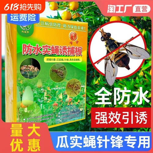 果蝇粘胶板诱捕器|超2000次加购