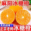正宗湖南麻阳冰糖橙当季 时令水果现摘现发手剥薄皮新鲜甜橙