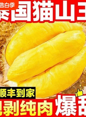 泰国进口冷冻榴莲肉树熟猫山王榴莲肉650g 榴莲 生鲜水果