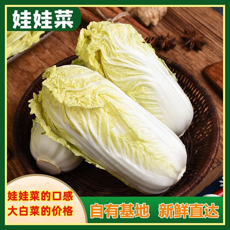 农家娃娃菜新鲜露天霜冻湖北黄心菜应季蔬菜5斤小白菜可做泡菜