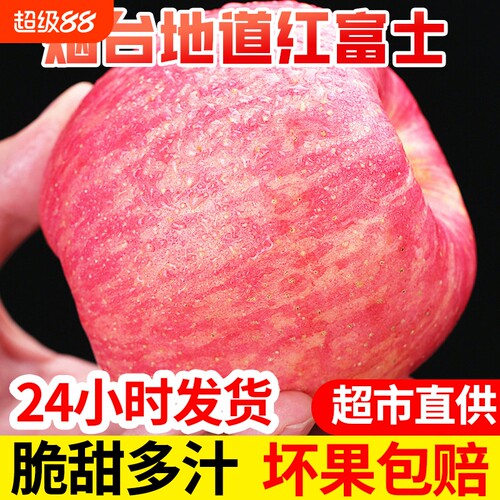 【小马儿果园】烟台正宗栖霞苹果