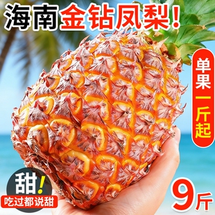 海南金钻凤梨新鲜水果树上熟芒果凤梨香水菠萝大果无眼整箱包邮