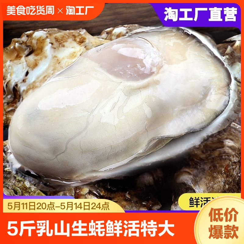 顺丰！特大乳山生蚝鲜活海蛎