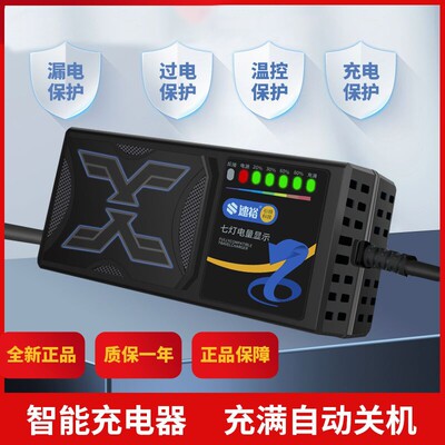 电动车电瓶充电器48v12ah60v20a72v适用于爱玛雅迪三轮铅酸石墨烯