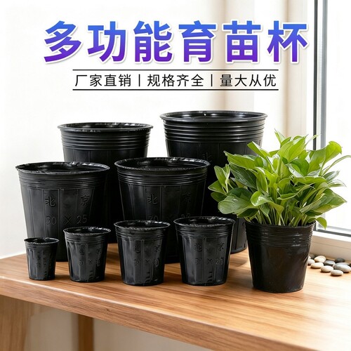 黑色塑料育苗盘加厚8*8