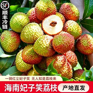 【顺丰】海南妃子笑荔枝应季新鲜水果产地直发老树清甜多汁3/5斤