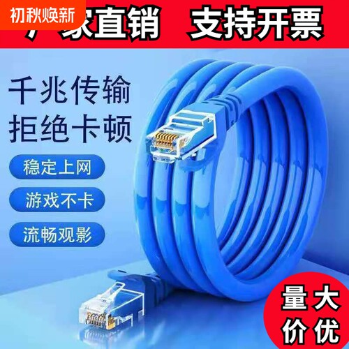成品网线高速1/10/30米宽带路由