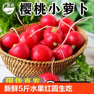 新鲜樱桃萝卜5斤水果小红萝卜红圆萝卜生吃新鲜蔬菜沙拉食材即食