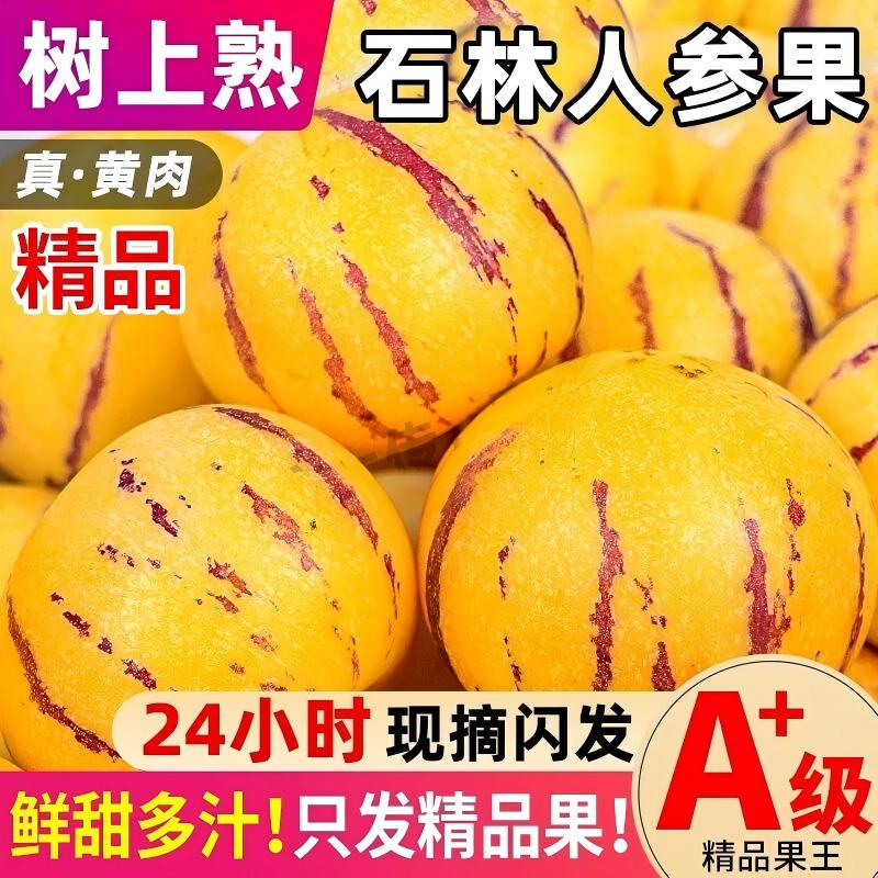 云南石林人参果新鲜水果树熟人生果当季水果整箱9斤包邮大果现摘图片