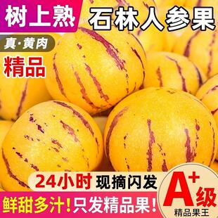 云南石林人参果新鲜水果树熟人生果当季水果整箱9斤包邮大果现摘