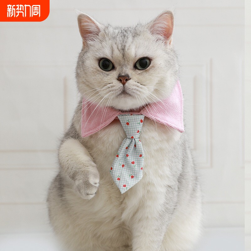 宠物猫咪领结棕色豹纹宠物领带猫咪狗狗小型犬比熊节日装扮项圈