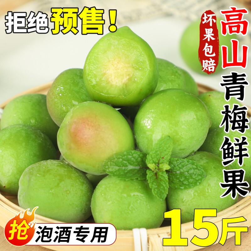 15斤高山青梅鲜果当季现摘青梅子新鲜水果泡酒专用酵素整箱胭脂梅