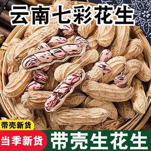 云南七彩花生云南特产新鲜晒干