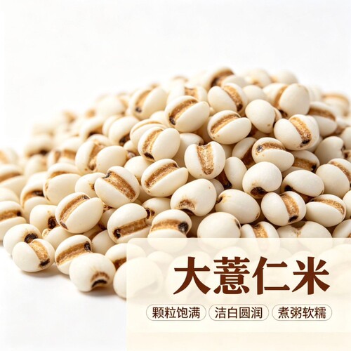大薏仁米新货正宗贵州小粒薏仁米精选薏米仁八宝粥原料五谷杂粮