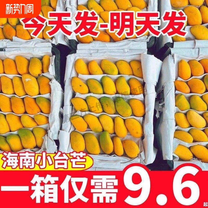 海南贵妃芒新鲜芒果当季水果树上熟红金龙大果甜心辣椒芒果整箱