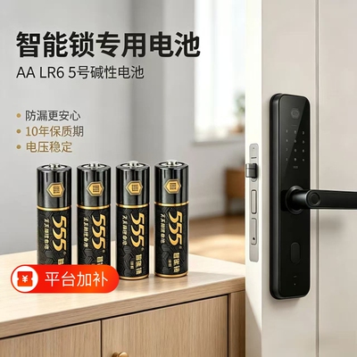 555无汞碱性5号电子锁指纹锁智能门锁密码锁专用干电池防盗门锁电池儿童玩具遥控鼠标五号1.5V