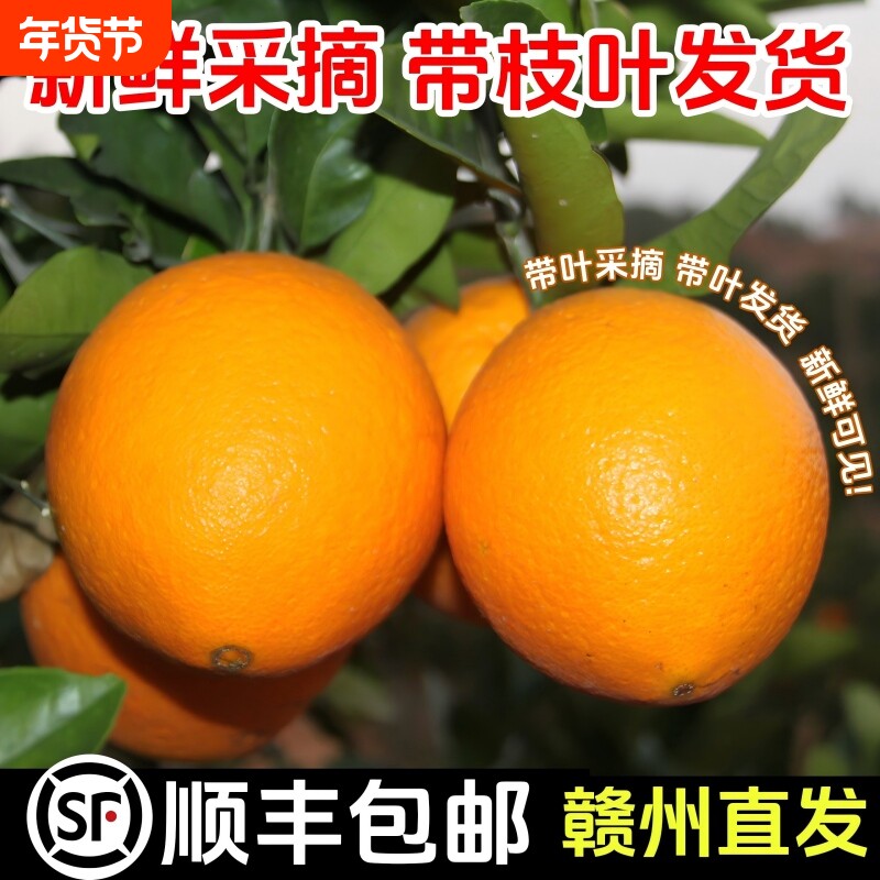 【顺丰包邮】正宗赣南脐橙9.2斤 当季水果江西新鲜橙子产地直发
