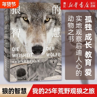 【新华书店】狼的智慧 我的25年荒野观狼之旅 进化论 狼性 适应力 竞争力 领导力 人性 狼的百科 狼的行为 正版书
