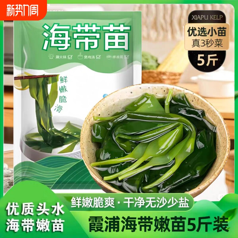 霞浦新鲜海带苗嫩苗凉拌菜火锅食材无添加商用批发盐渍裙带菜干货