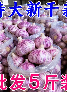 【产地价】山东金乡紫皮新干蒜