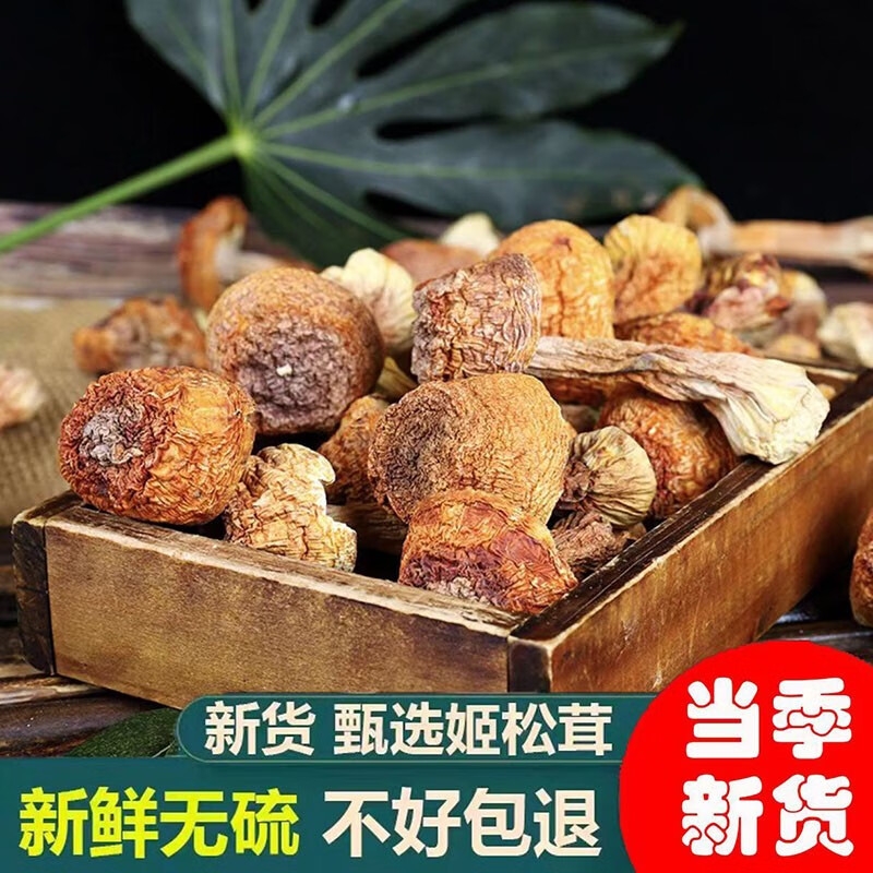 云南特产姬松茸干货500g无硫