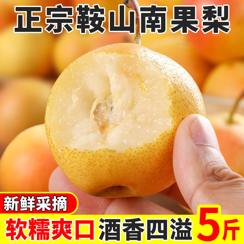 正宗南果梨5斤鞍山海城东北特产新鲜水果梨子包邮农场直发香蕉