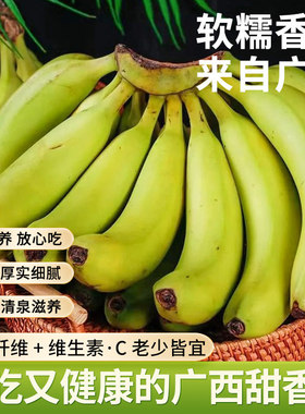 广西正宗高山香蕉绿皮香蕉产地现摘自然熟新鲜水果3斤/5/9斤包邮