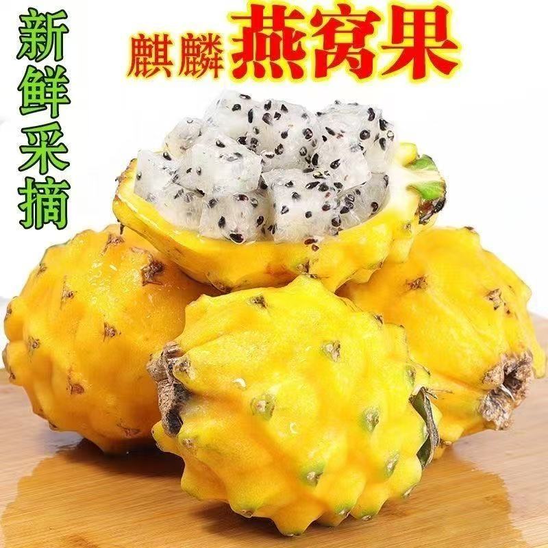 云南燕窝果麒麟果白心直供当季黄皮现摘孕妇燕窝果大果特大号
