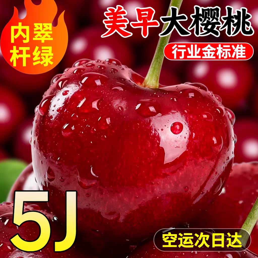 大连美早大樱桃现摘现摘当季国产车厘子新鲜当季水果3斤空运包邮