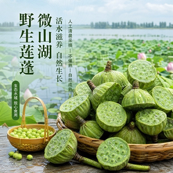 微山湖新鲜嫩莲蓬带衣莲子米当季现摘带芯莲子可生吃水果微甜不苦