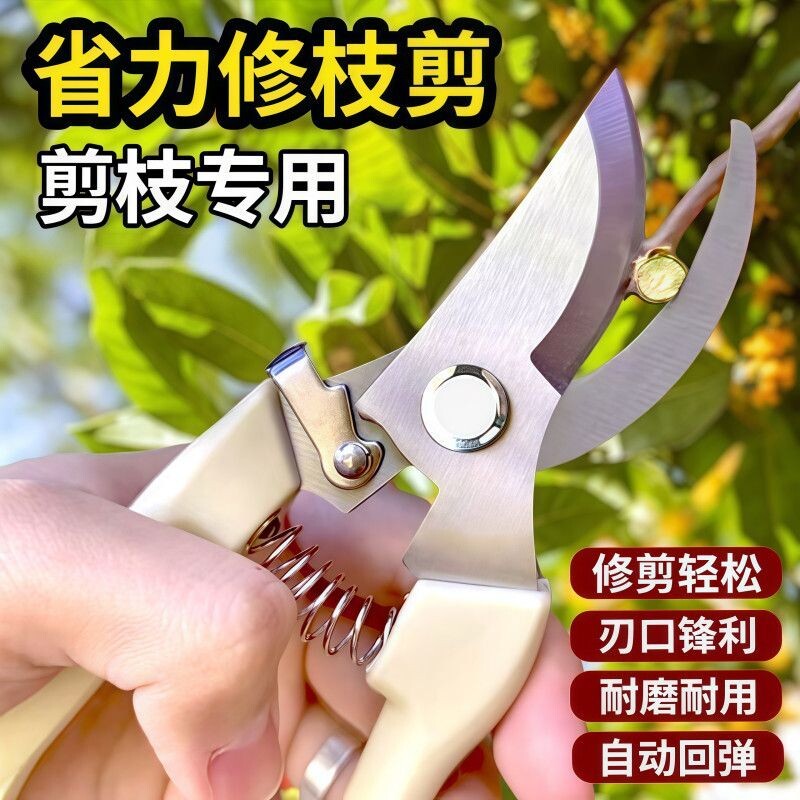 园艺剪树剪子果树剪耐用强力多功能修枝剪花枝剪刀花木修枝剪采摘图片