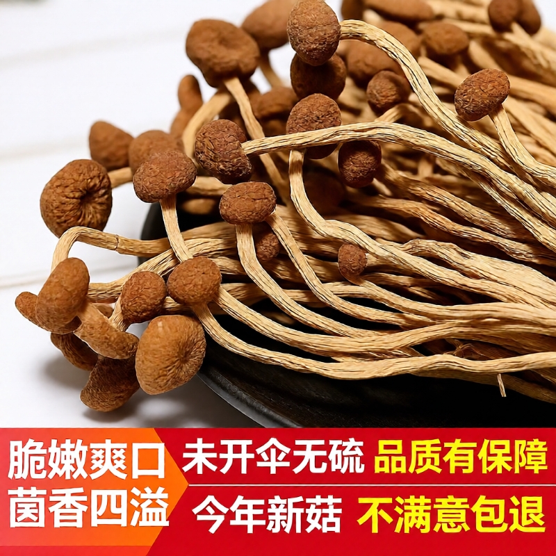 茶树菇干货农家古田500g特产新鲜香菇蘑菇金针菇俏煲汤菌菇精品