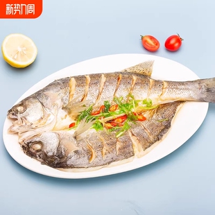 福建宁德霞浦福宁港调味海鲈鱼新鲜冷冻450克 3袋鲜鲈鱼蒸完即食