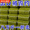 特价 新疆吐鲁番特产免洗大颗粒绿提葡萄干果干零食蜜饯新货新鲜