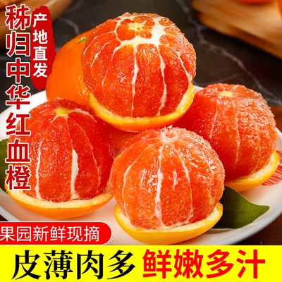 正宗中华红血橙红心红肉鲜嫩多汁