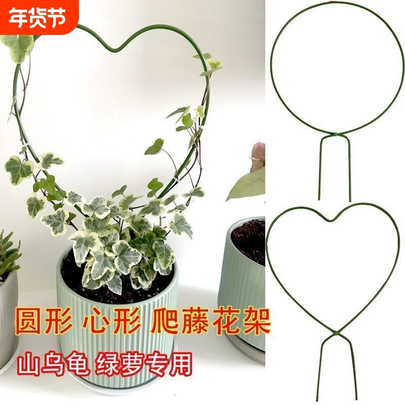 铁艺圆形造型爬藤攀爬架山乌龟雪莹花盆心形绿植盆景支架支撑杆,鲜花速递/花卉仿真/绿植园艺,花架,淘宝优惠券,粉丝福利购,淘宝优惠卷