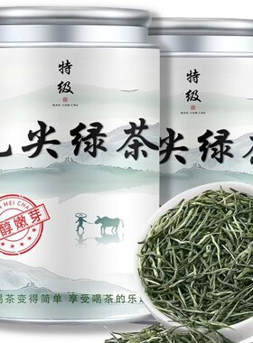 特级明前高山毛尖茶春茶