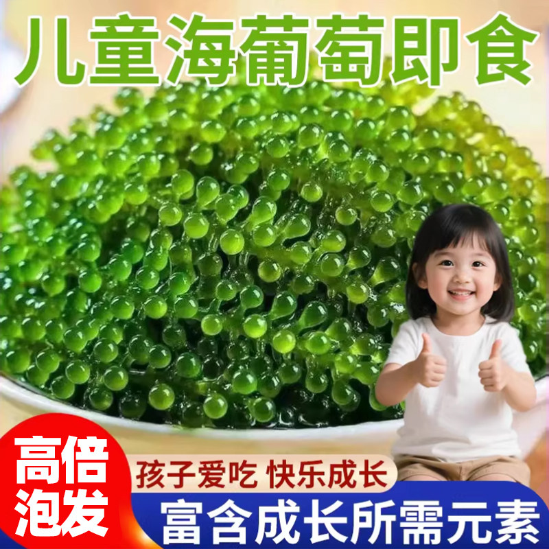 海葡萄新鲜儿童水葡萄绿色鱼子酱海藻凉拌菜盐渍水葡萄爆珠浆海草