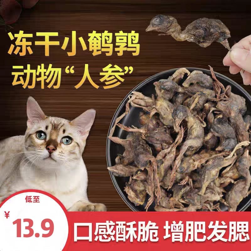 鹌鹑冻干猫零食小鱼干营养增肥狗狗生骨肉磨牙补钙宠物零食
