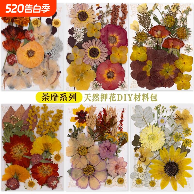 干花压植物标本押花材料永生花diy装饰蜡烛团扇相框礼手作材料包