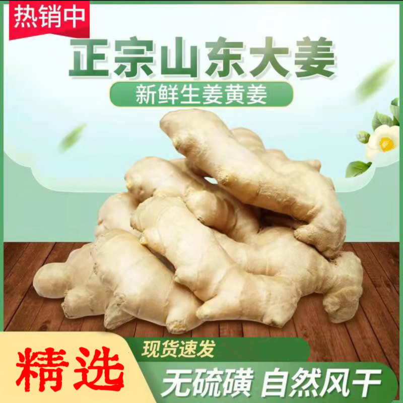山东大姜新姜生姜新鲜黄姜土姜现挖姜嫩姜鲜姜