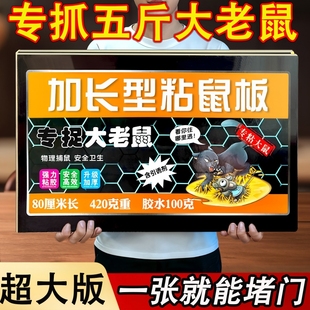 老鼠粘强力粘鼠板胶抓特效老鼠贴家用灭捕鼠神器黏鼠板药夹扑捉器