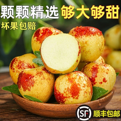正宗冬枣新鲜大枣当季现摘现发脆甜鲜果青枣整箱产地直发