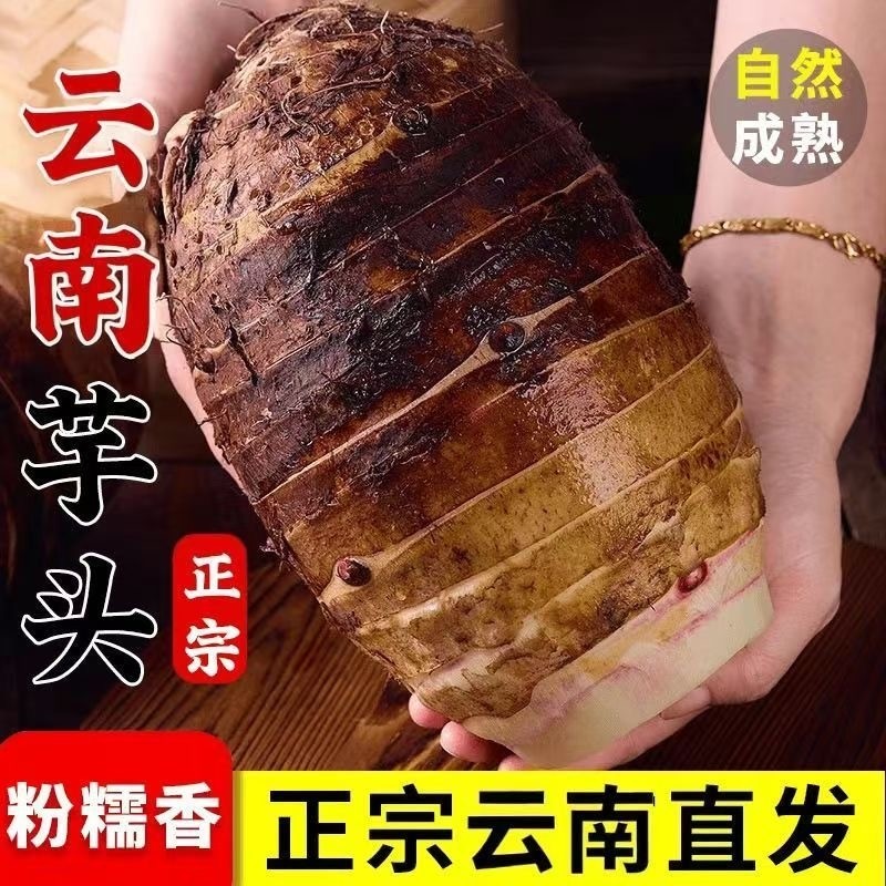 【优质】云南高山新鲜大芋头小芋头正宗槟榔芋现挖毛芋头现挖现发