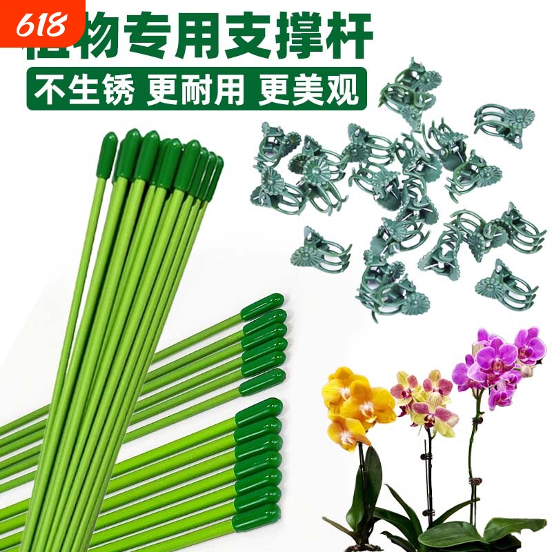 植物支撑杆蝴蝶兰固定绿色兰花插花金钱树绿植花卉盆栽防倒伏扶杆