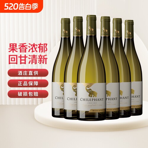 智利进口智象半甜白葡萄酒聚会