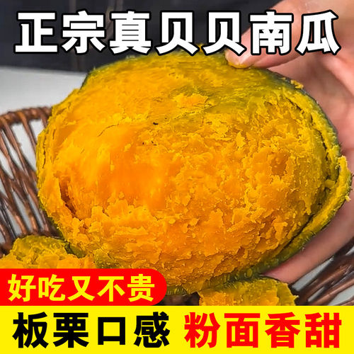正宗新鲜贝贝南瓜粉面香甜