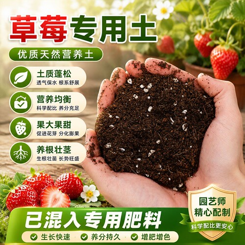 草莓专用营养土阳台盆栽有机质草莓专用土疏松透气植物土壤种植土