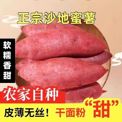 新鲜沙地蜜薯红薯地瓜板栗糖心番薯山芋农家自种现挖龙九黄心