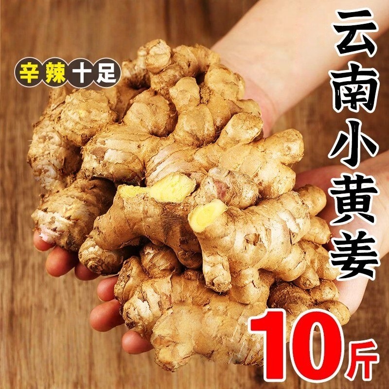 2026正宗云南小黄姜老姜生姜新鲜土姜现挖鲜姜包邮月子姜农家自种,水产肉类/新鲜蔬果/熟食,生姜/南姜,淘宝优惠券,粉丝福利购,淘宝优惠卷